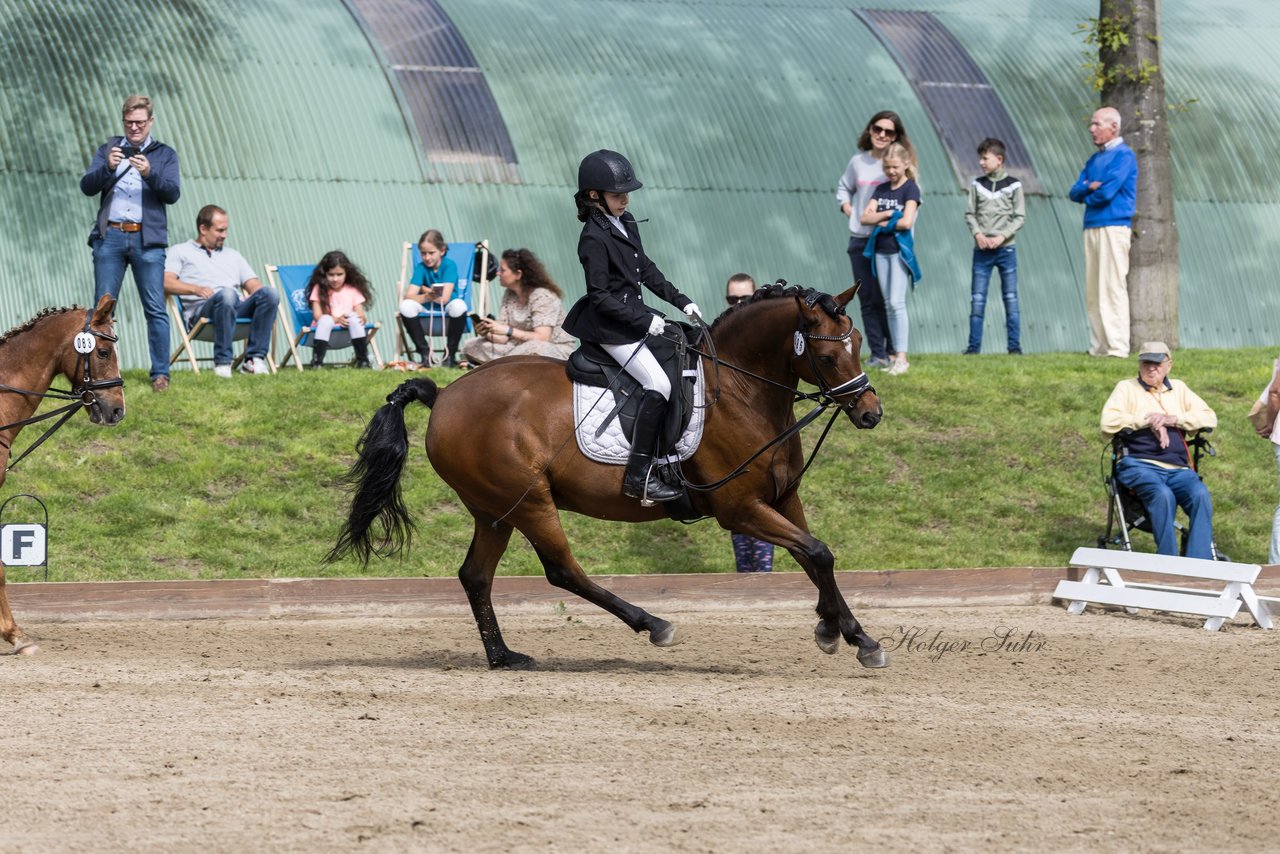 Bild 147 - Pony Akademie Turnier